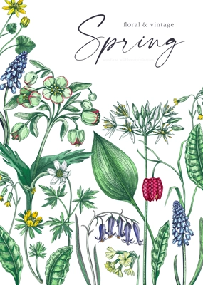 Delicate spring design template. Wildflowers. Woodland wild flower sketches. Floral background, greeting card or invitation. Hand drawn vector illustration, NOT AI